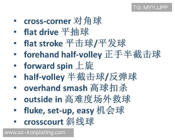 广州网球队技术对比深度解析与发展趋势探讨